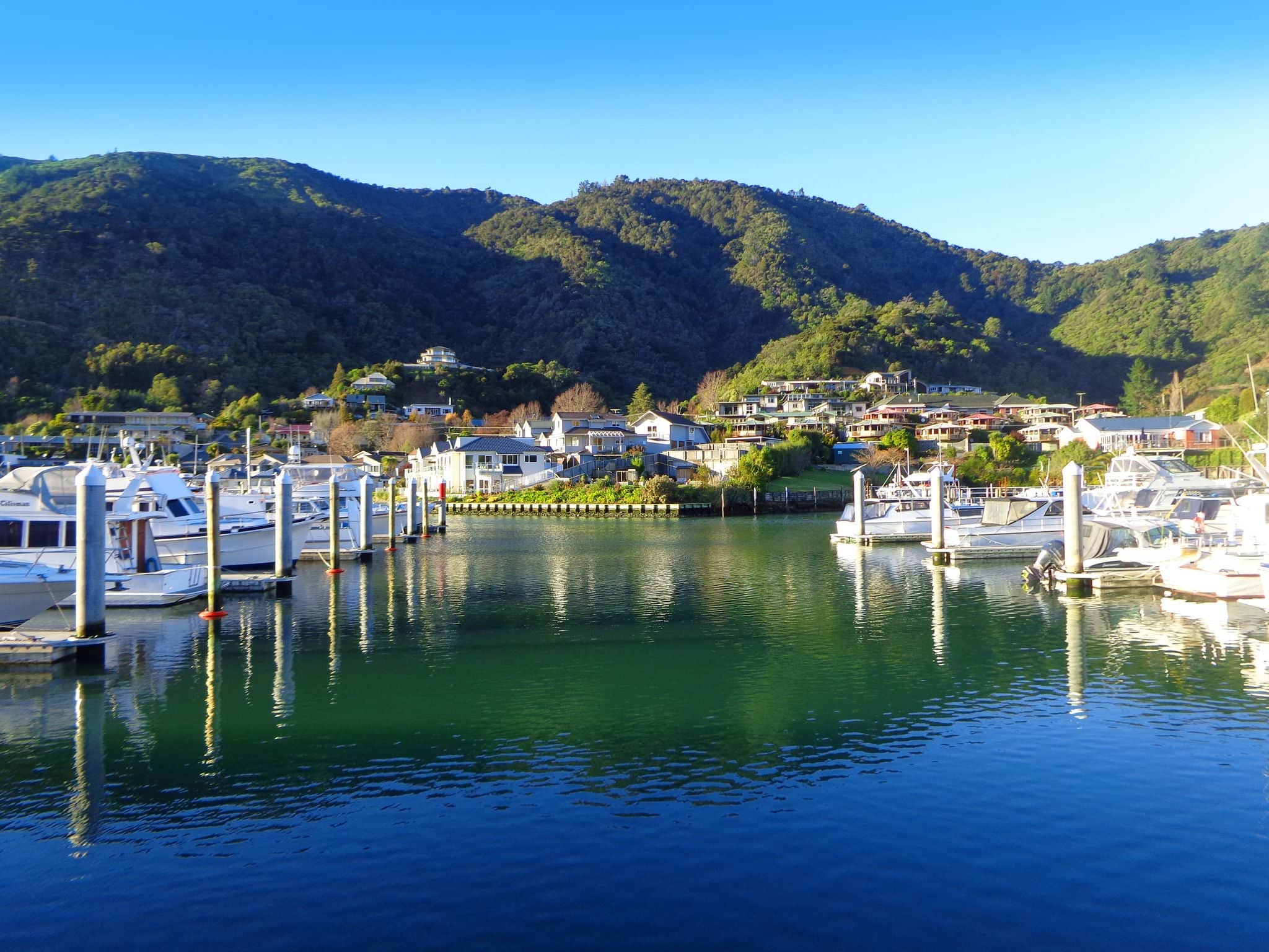 Picton New Zealand. Famous harbor town. Yacht marina on Sunny day