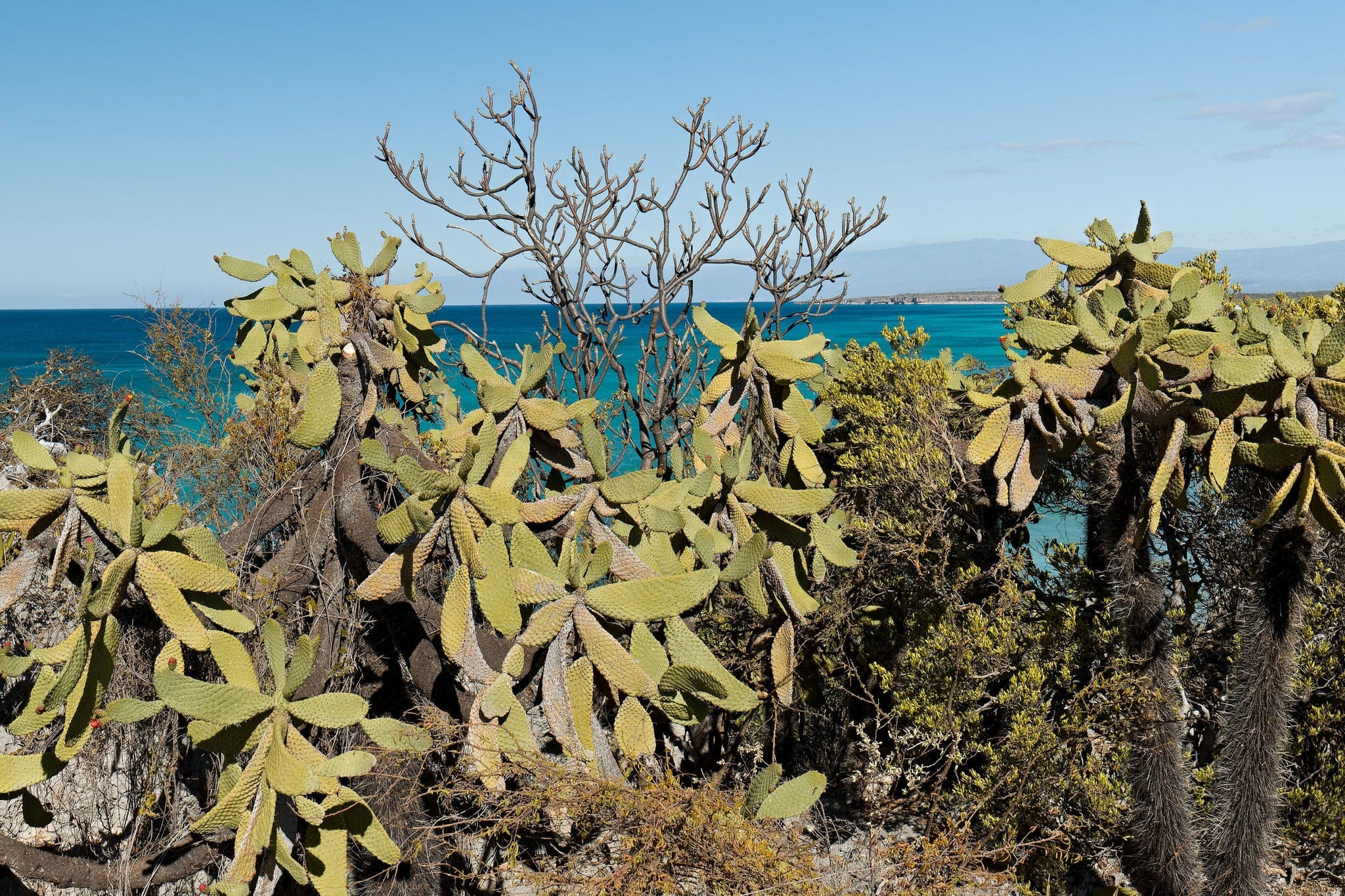 View of Jaragua National Park. Dominican republic.