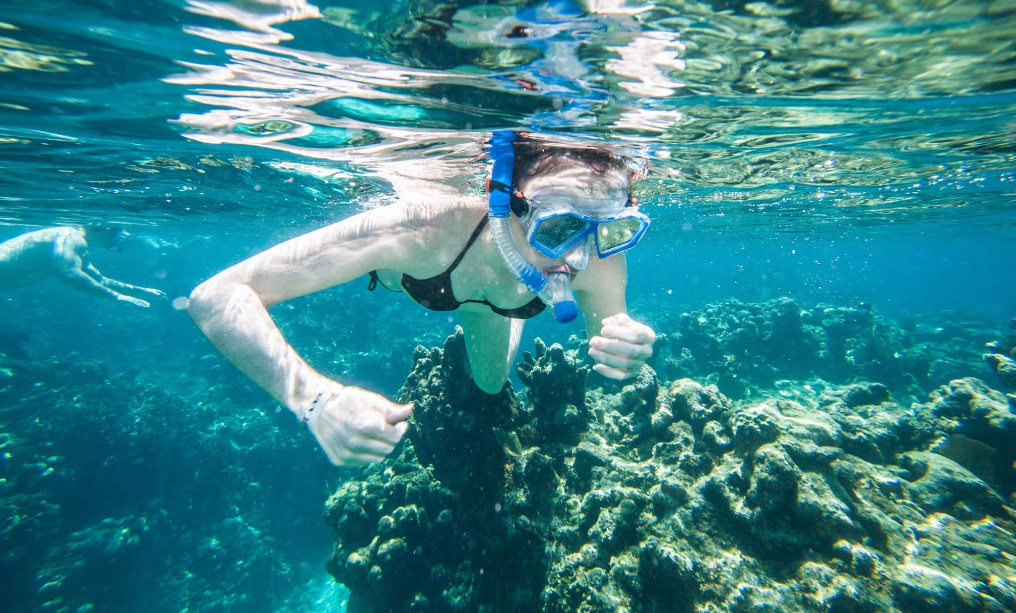 Picture taken in Roatan, Honduras