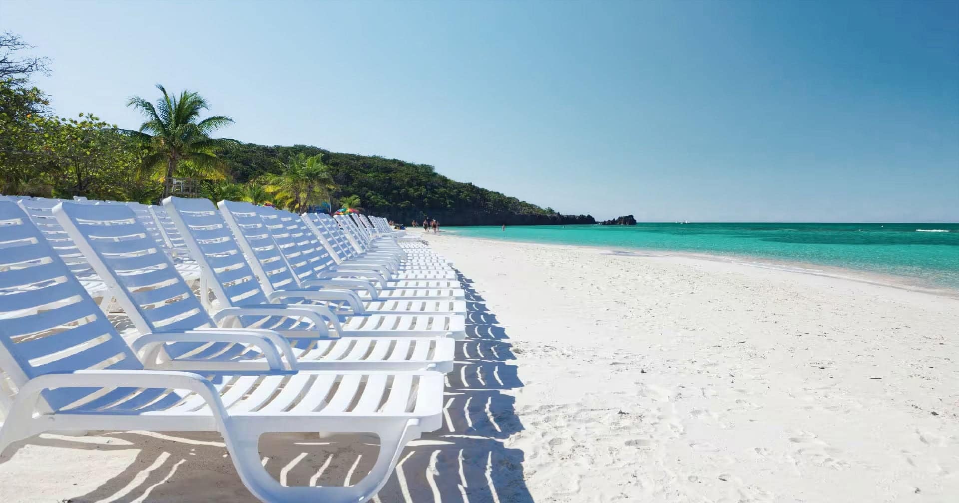 Chairs lined up on the beach.