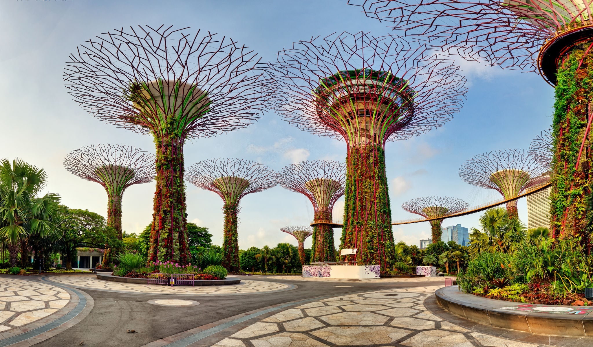 Singapore Supertrees in garden by the bay at Bay South Singapore