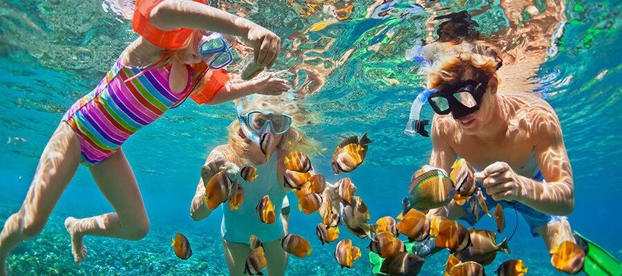 A snorkeling adventure with family.