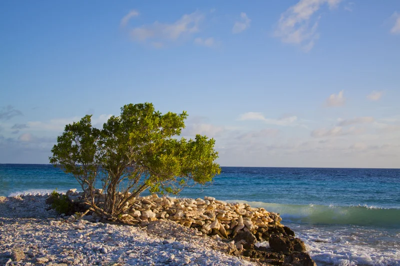 Kralendijk, Bonaire