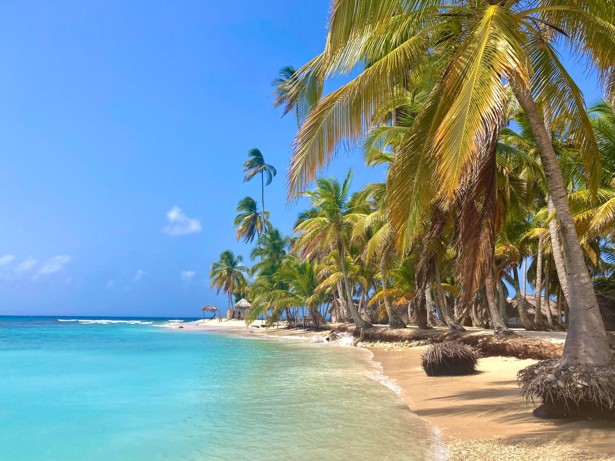 Tranquil  beach on remote island in Carribean sea. Palm trees,  clear sea with coral reef, white sand, sea life and relaxing lifestyle. Starfish beach, Isla Colon, Bocas del Toro, Panama.
