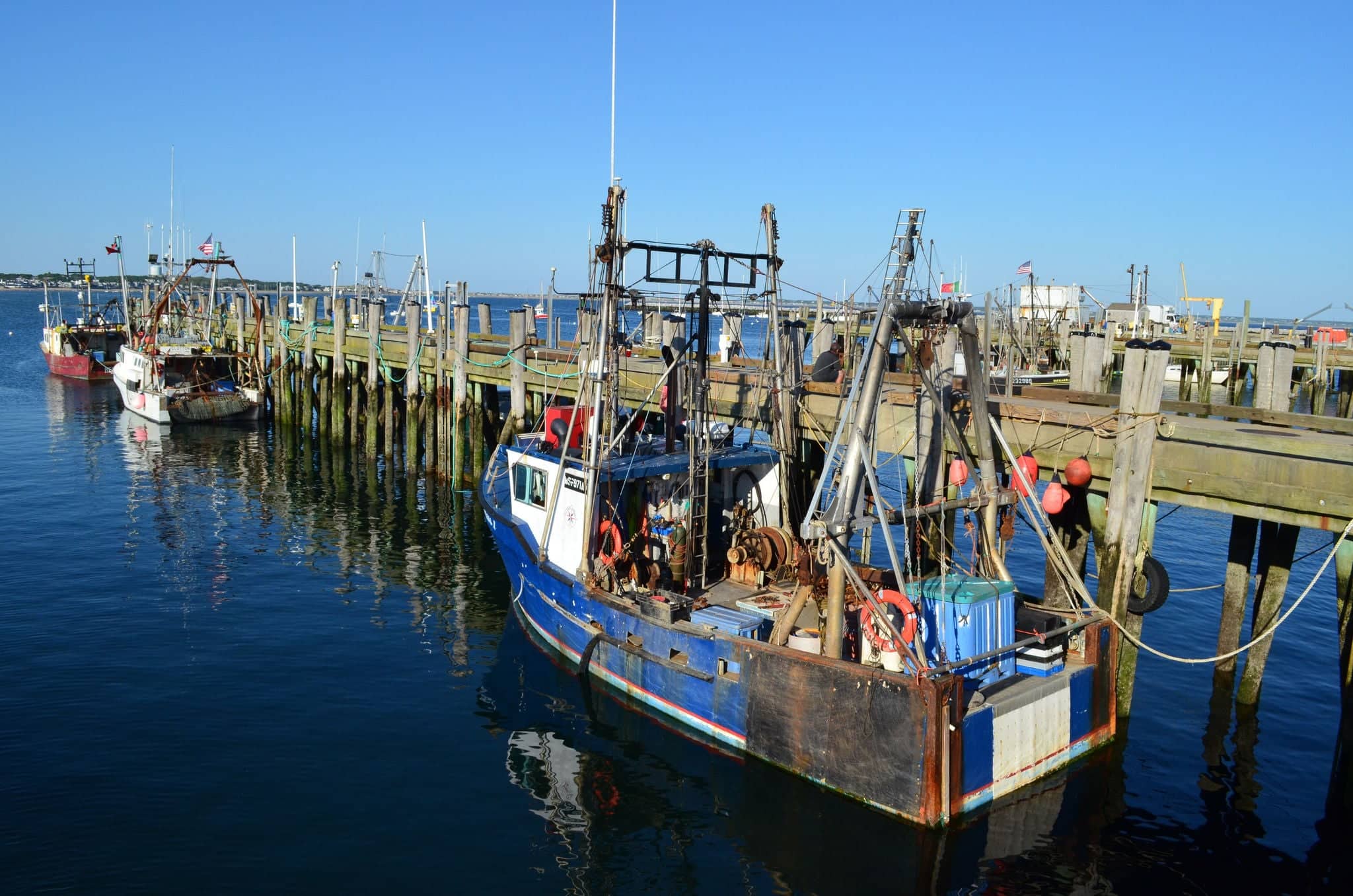Boats docked in Martha's Vineyard