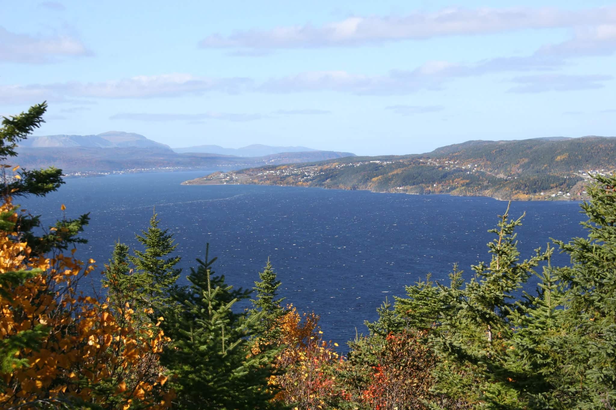 Near the mouth of the Humber River at Corner Brook, Newfoundland.
