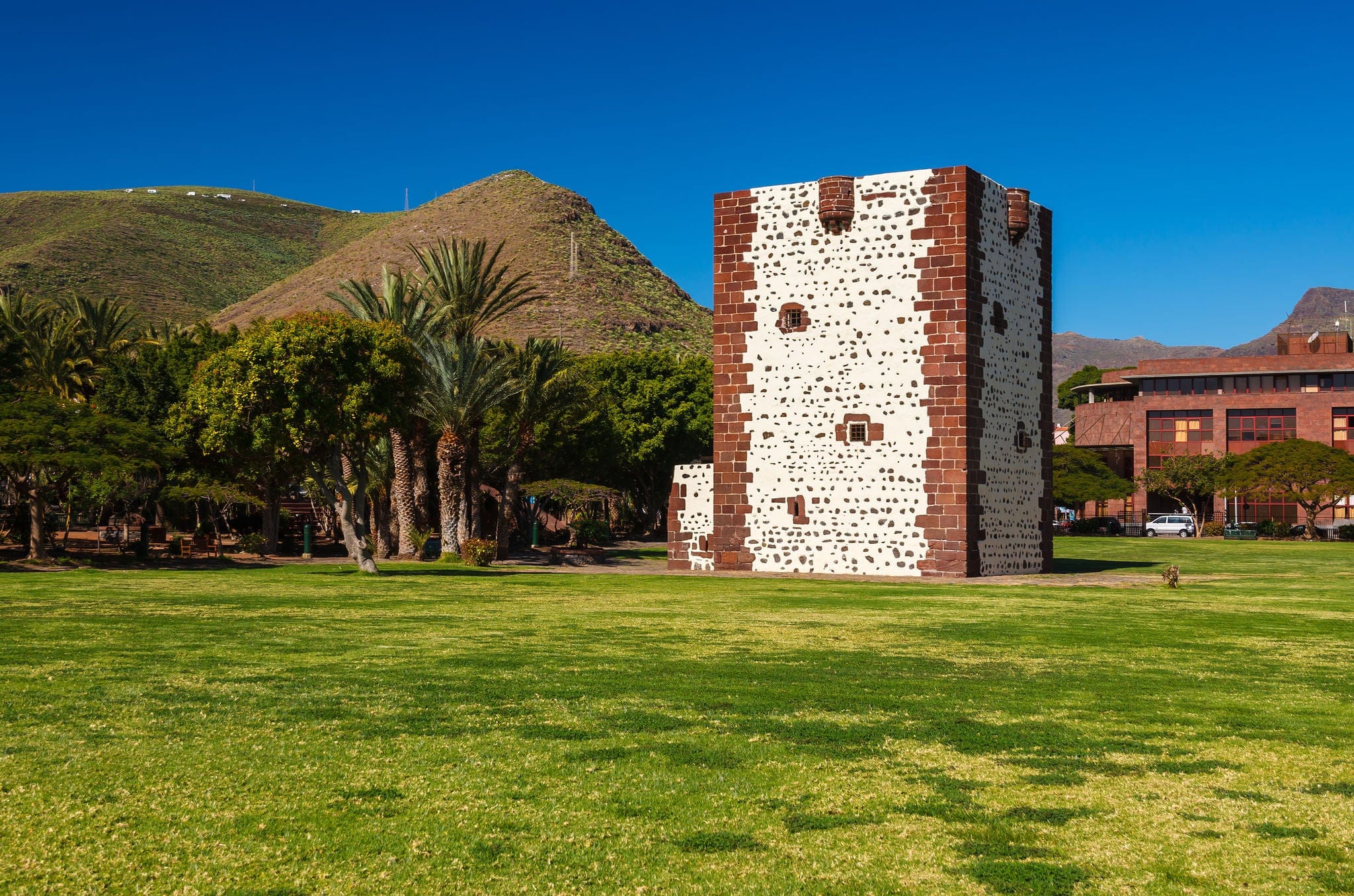 Torre del Conde fort city park green grass palm tree, San Sebastian, La Gomera, Canary Islands, Spain