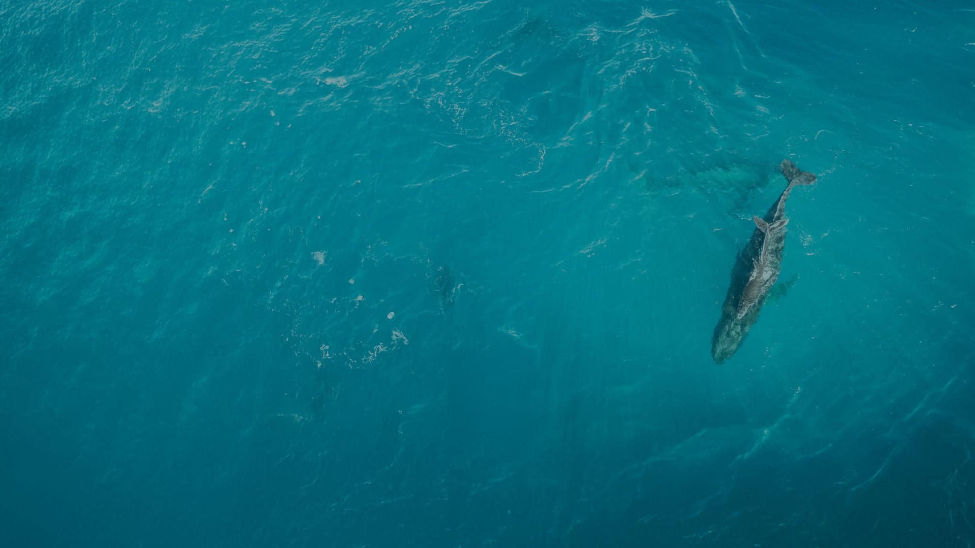 Agua: fondo