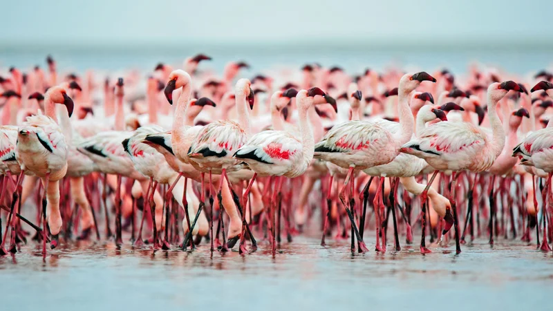 Walvis Bay, Namibia
