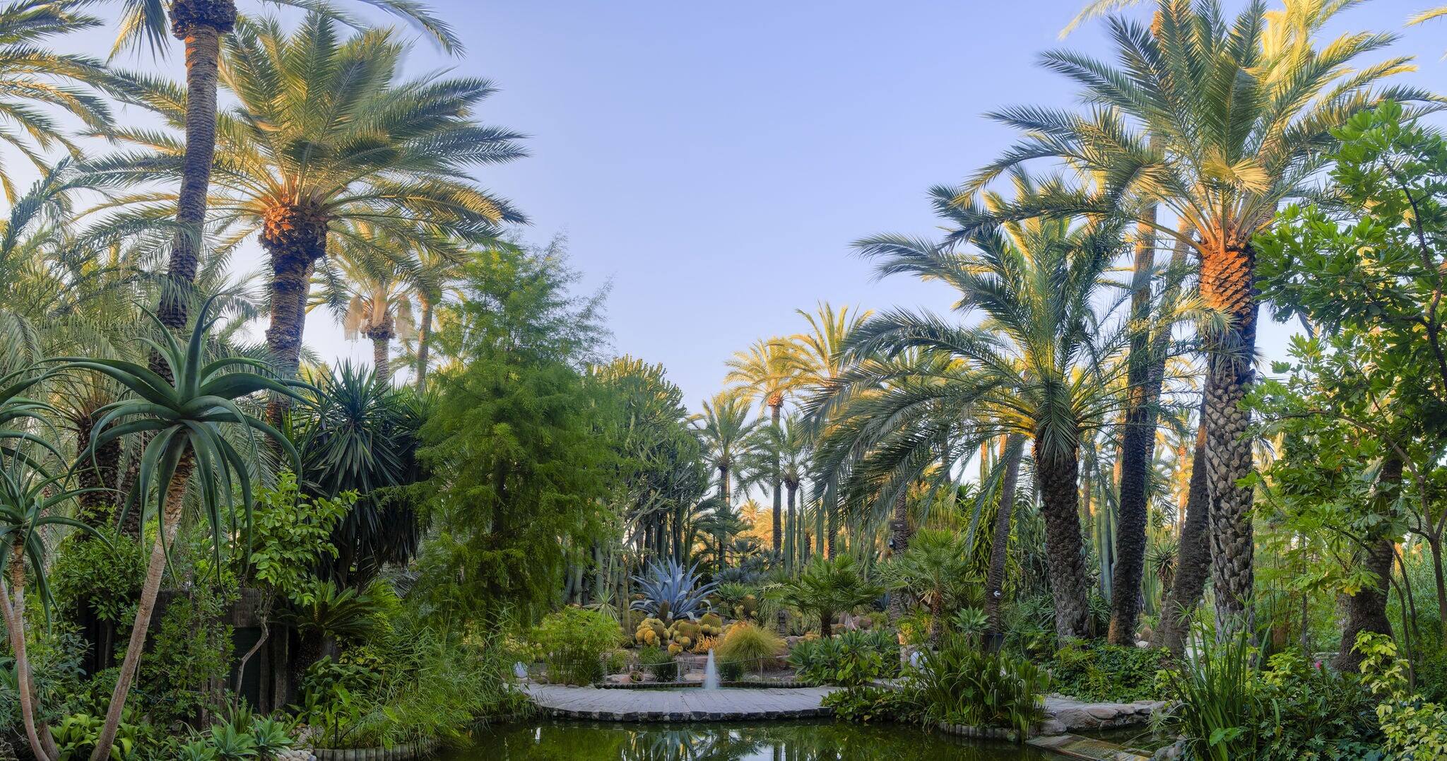Palm garden La huerta del cura, in Elche, Alicante Spain.