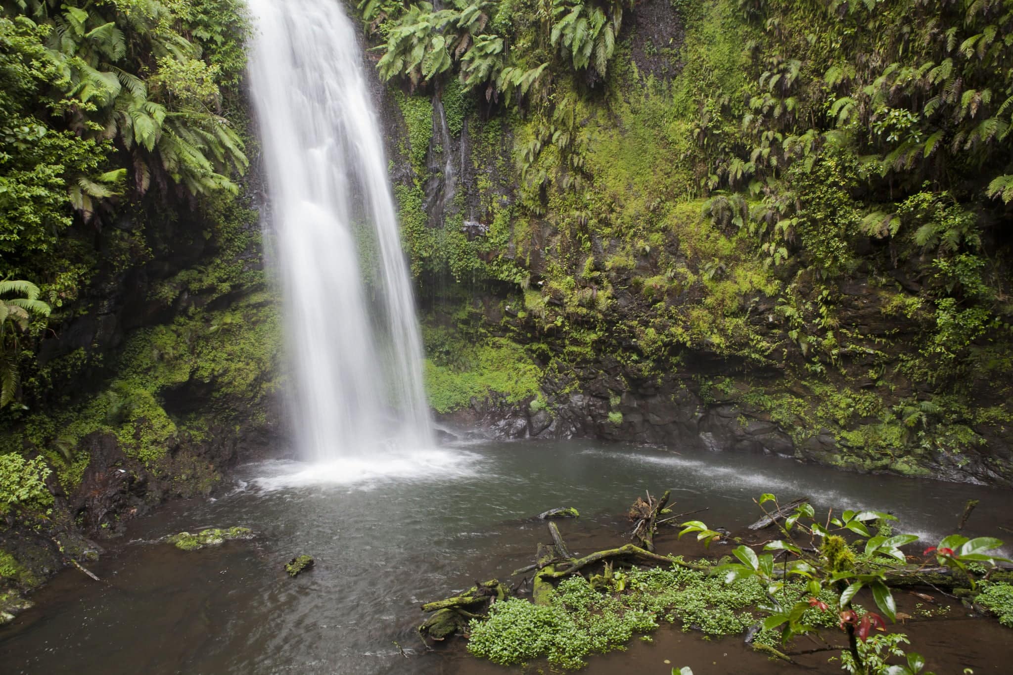 Waterfall in Montagne D'Ambre National Park
