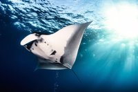 Manta, Ecuador