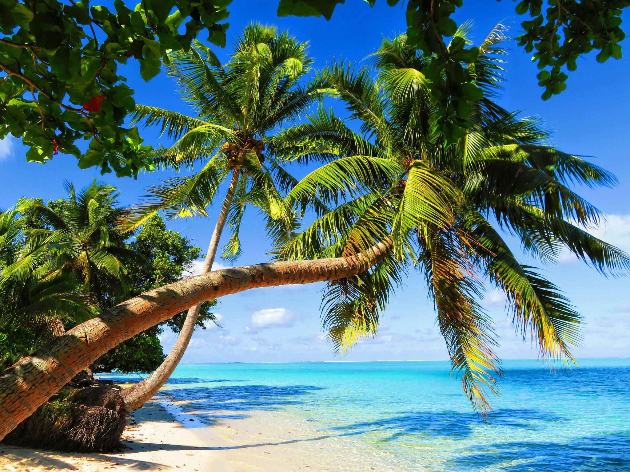 beach and coastline of tropical island
