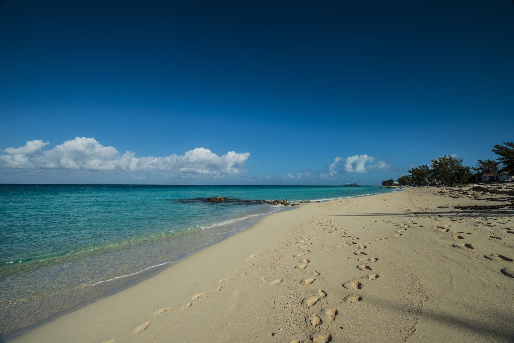 beach on the island of Bimini