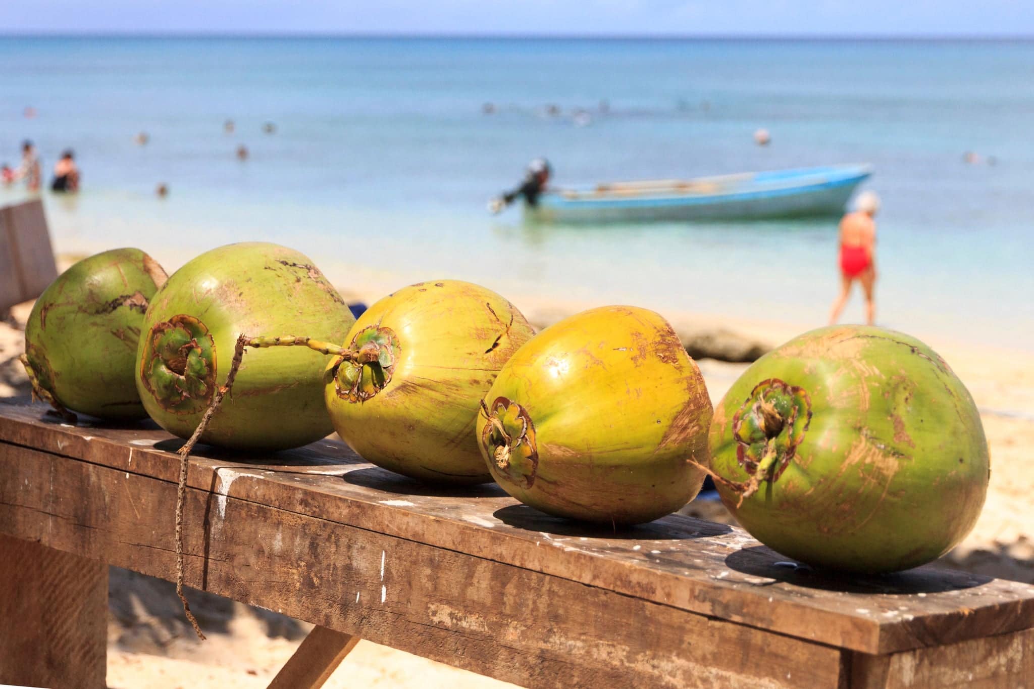 Coconuts on Dravuni island, Fiji, South Pacific