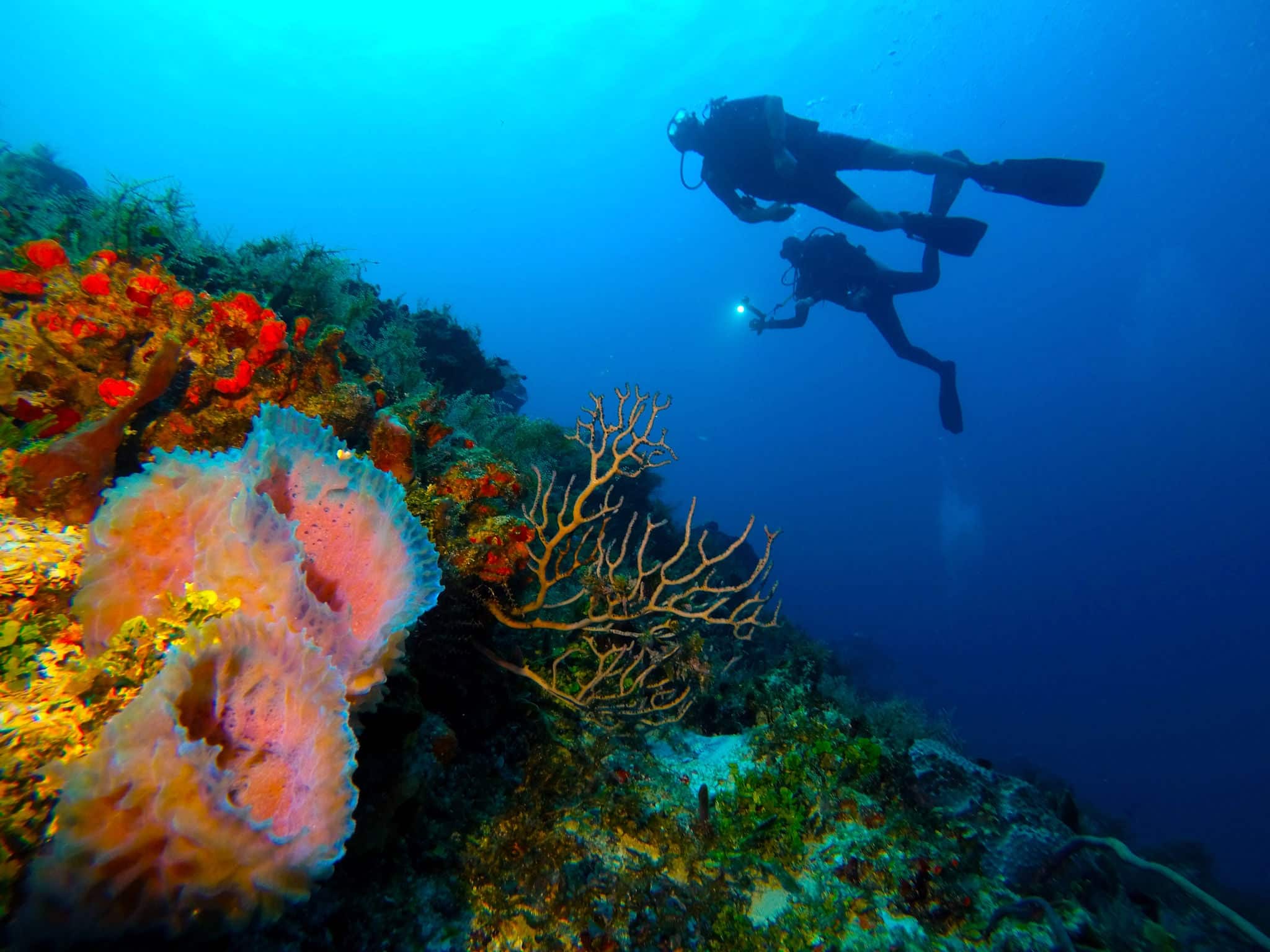 diving trip Mexico Playa Del Carmen - beautiful colors and caves