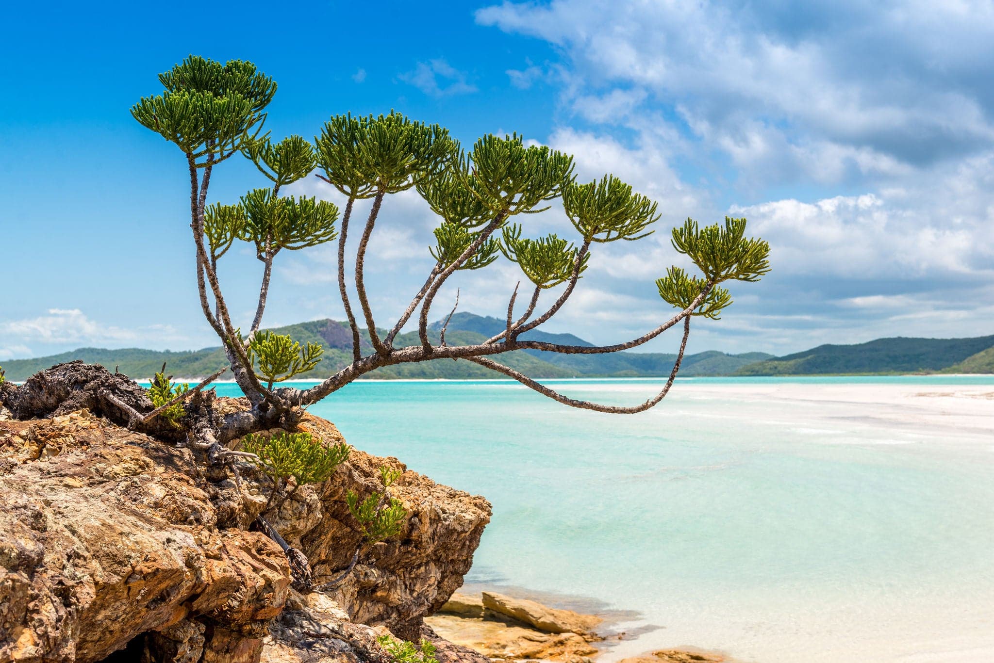 Whitehaven, Whitsundays - Australia