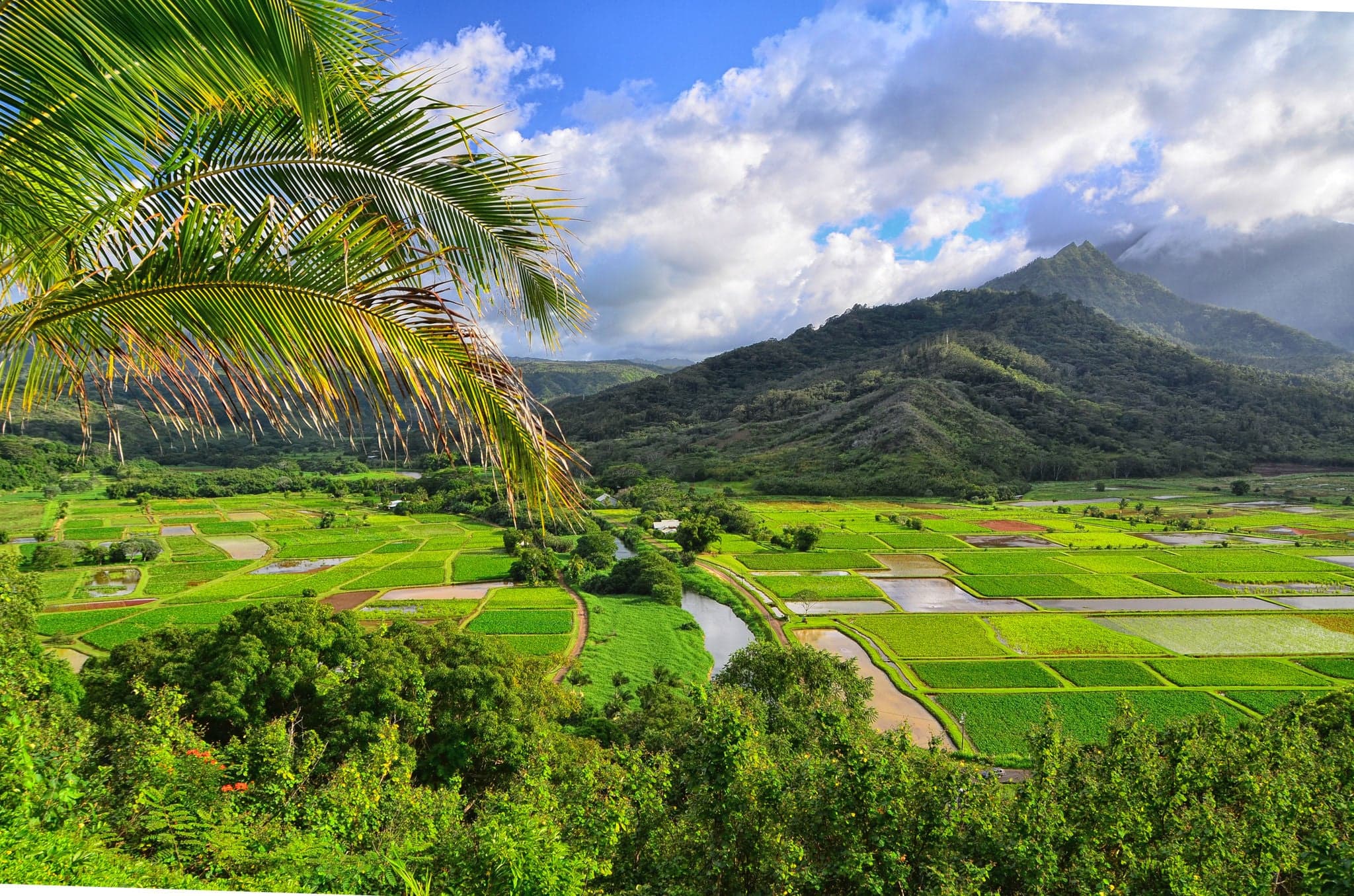 Hanalei Valley Kauai, Hawaii
