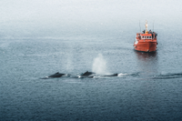 Nuuk, Greenland
