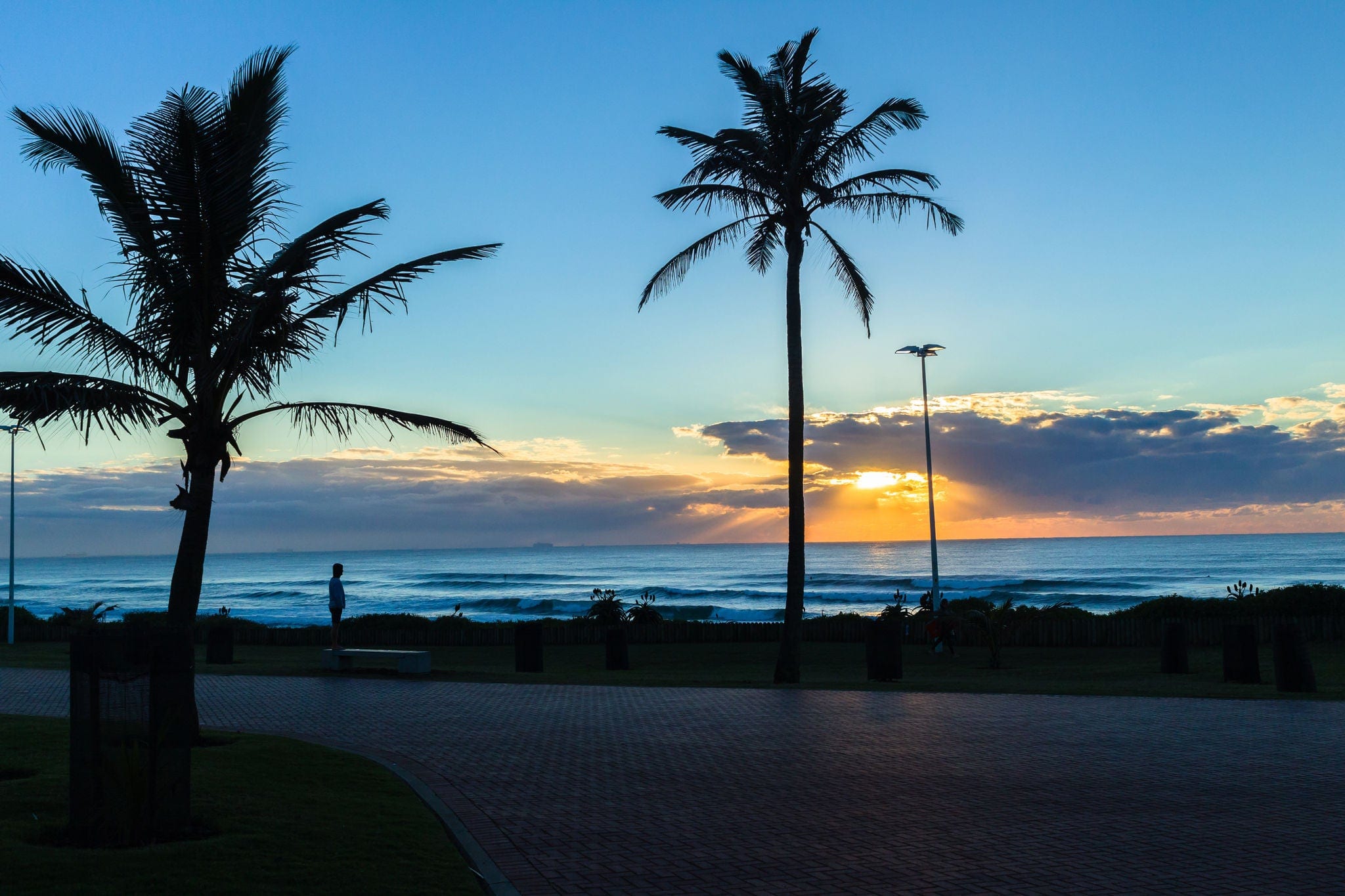 Beach Dawn Ocean Horizon