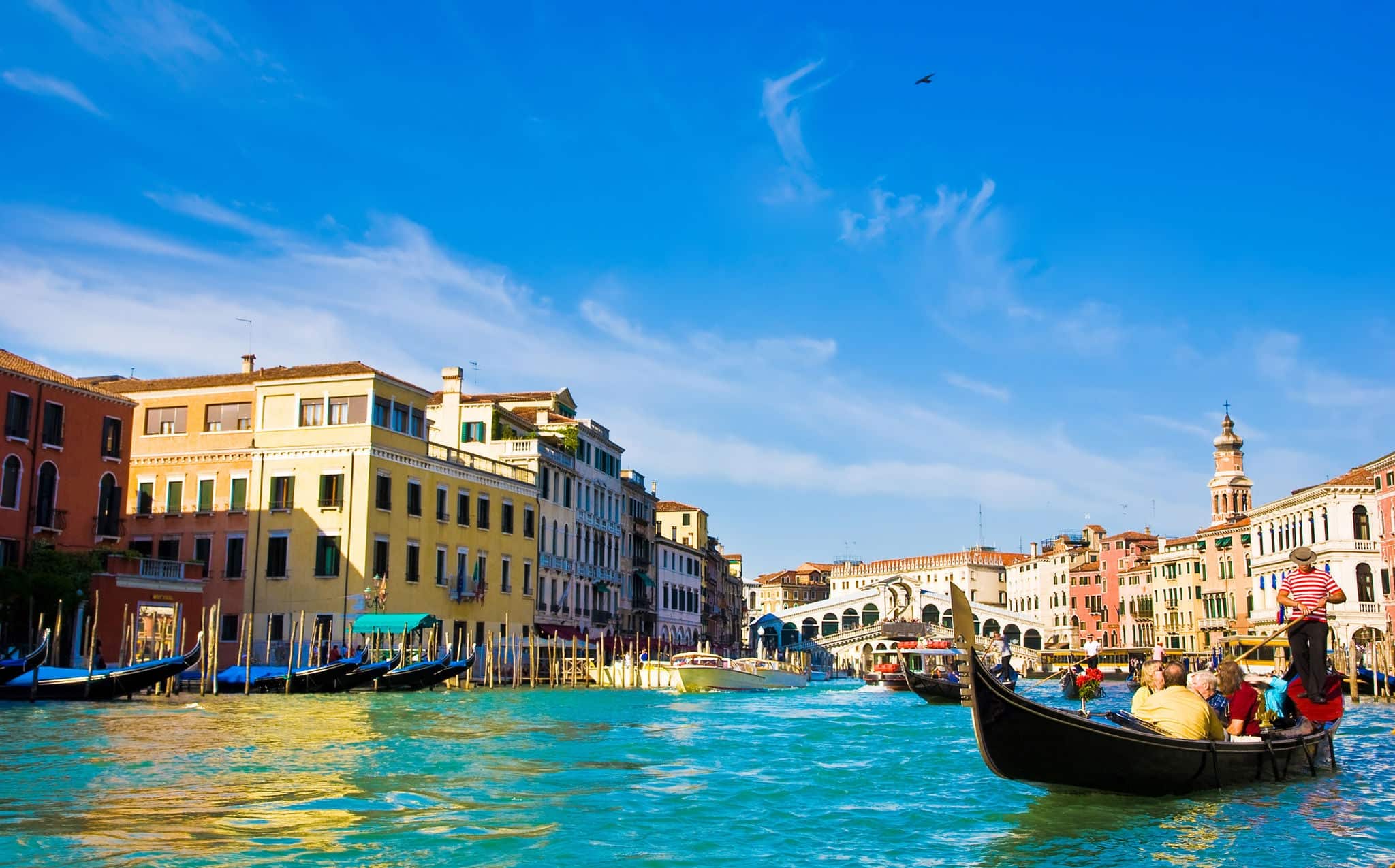 Venice Grand canal with gondolas and Rialto Bridge, Italy in summer bright day
