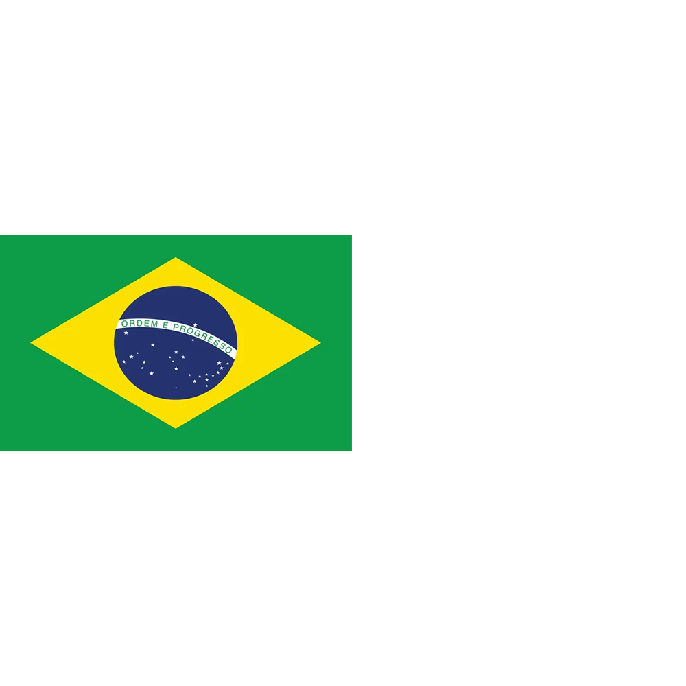 Brazil Flag
