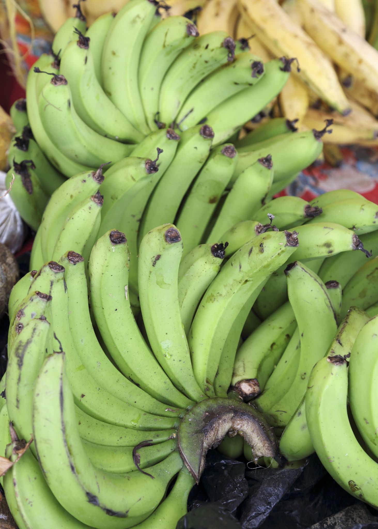 GREEN BANANAS,CARIBBEAN MARKET STALL,DOMINICA