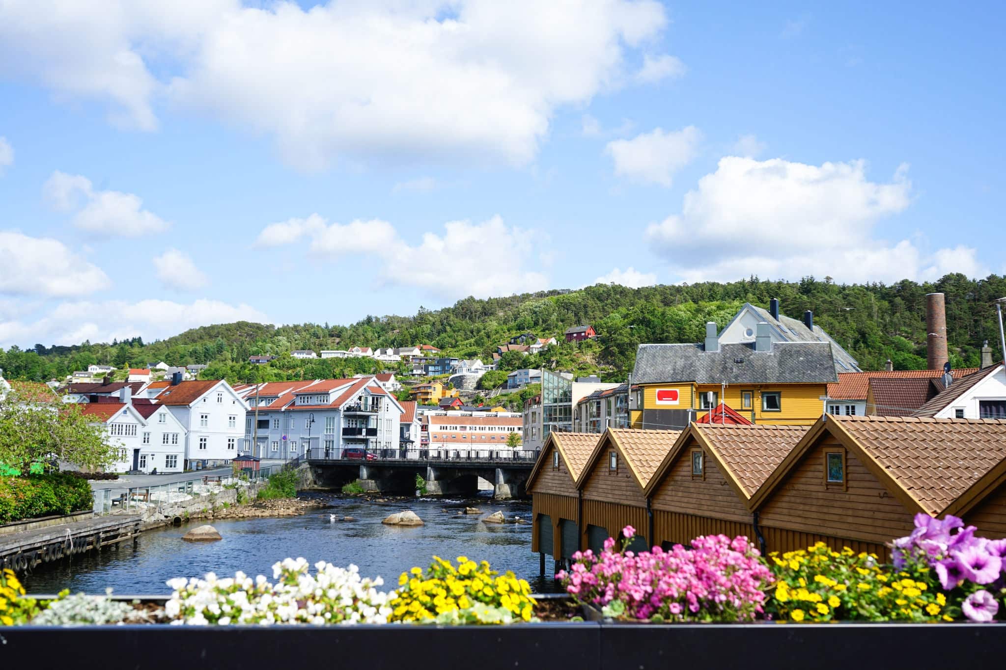 fiordo en el norway