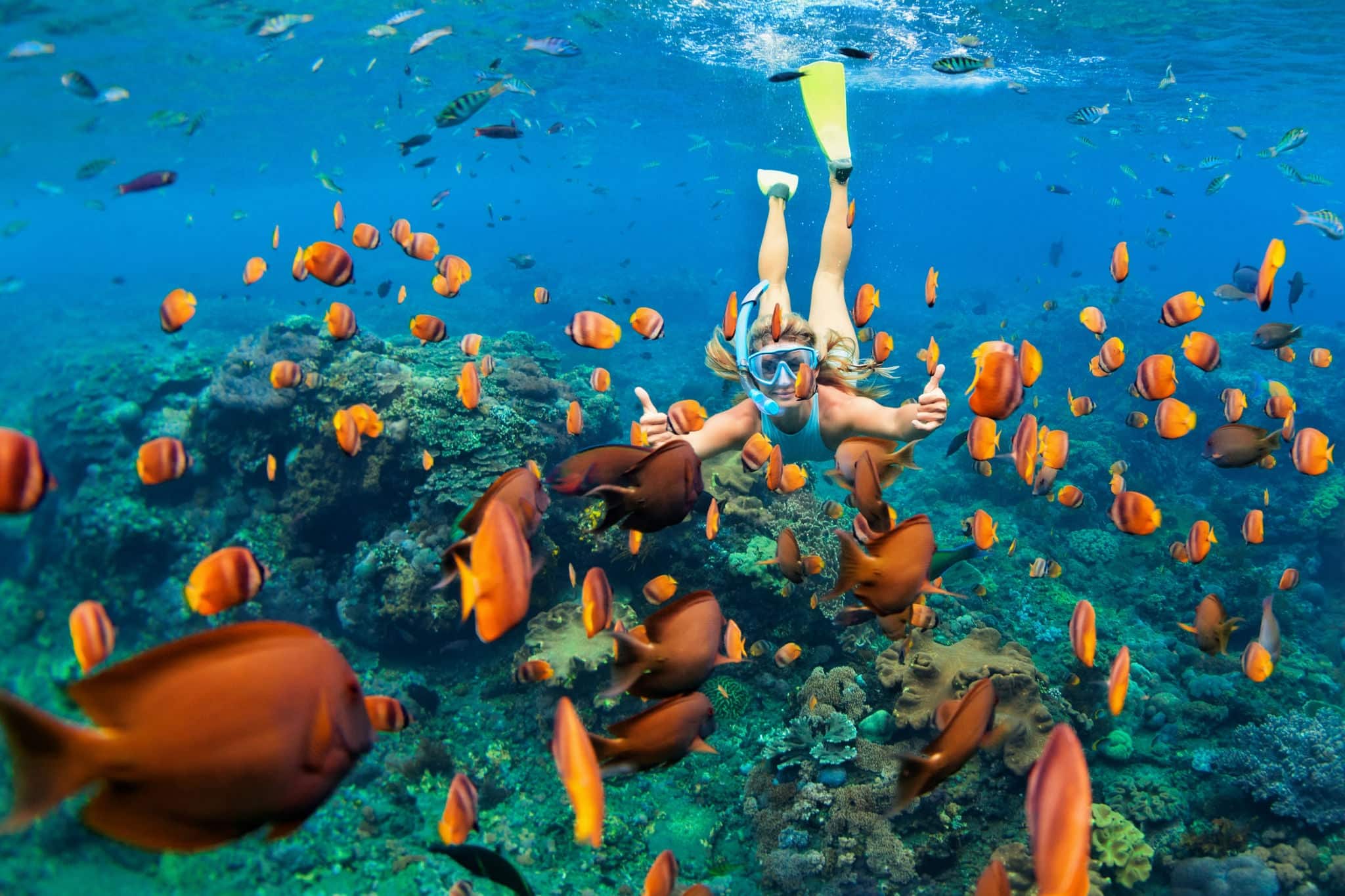 Happy family - girl in snorkeling mask dive underwater with tropical fishes in coral reef sea pool. Travel lifestyle, water sport outdoor adventure, swimming lessons on summer beach holiday with child