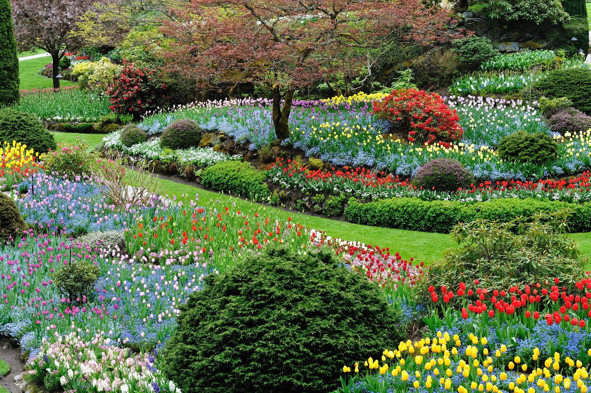 Beautiful garden in spring, victoria, british columbia, canada