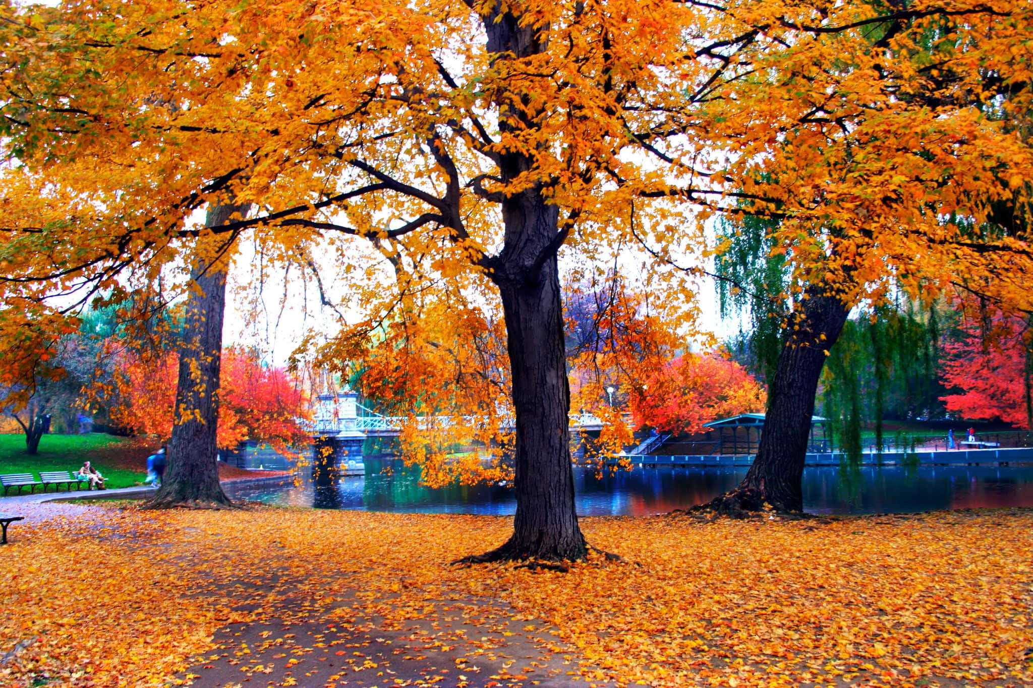 Boston Public Garden