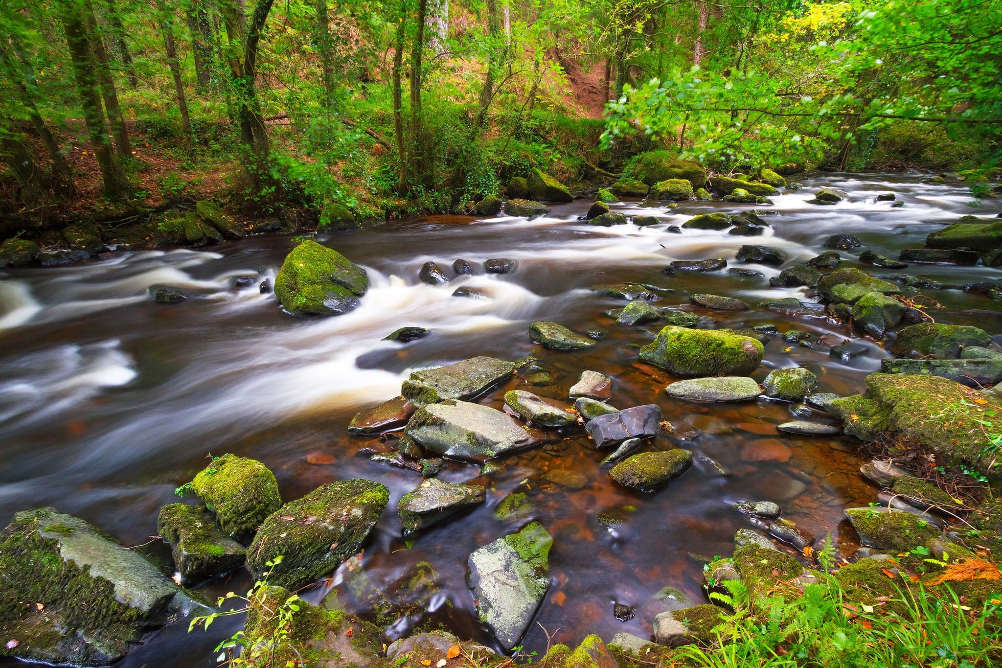 Creek of Clare Glens in Co. Limerick, Ireland