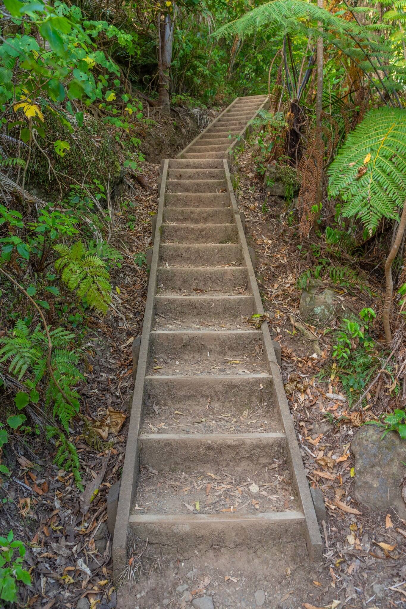 Staircase leading to the top of Mount Manaia in New Zealand