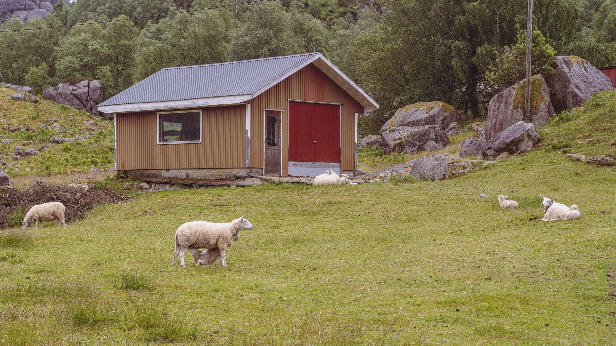 granja en el norway