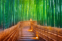 Kyoto (Kobe), Japan