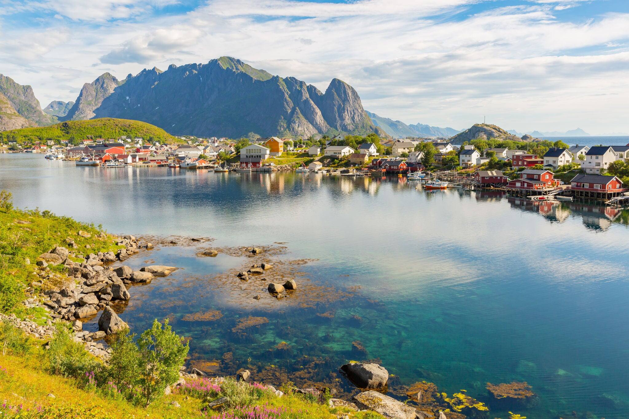 Norwegian landscape with Nordfjord fjord, mountains, flowers in lofoten island, Norway