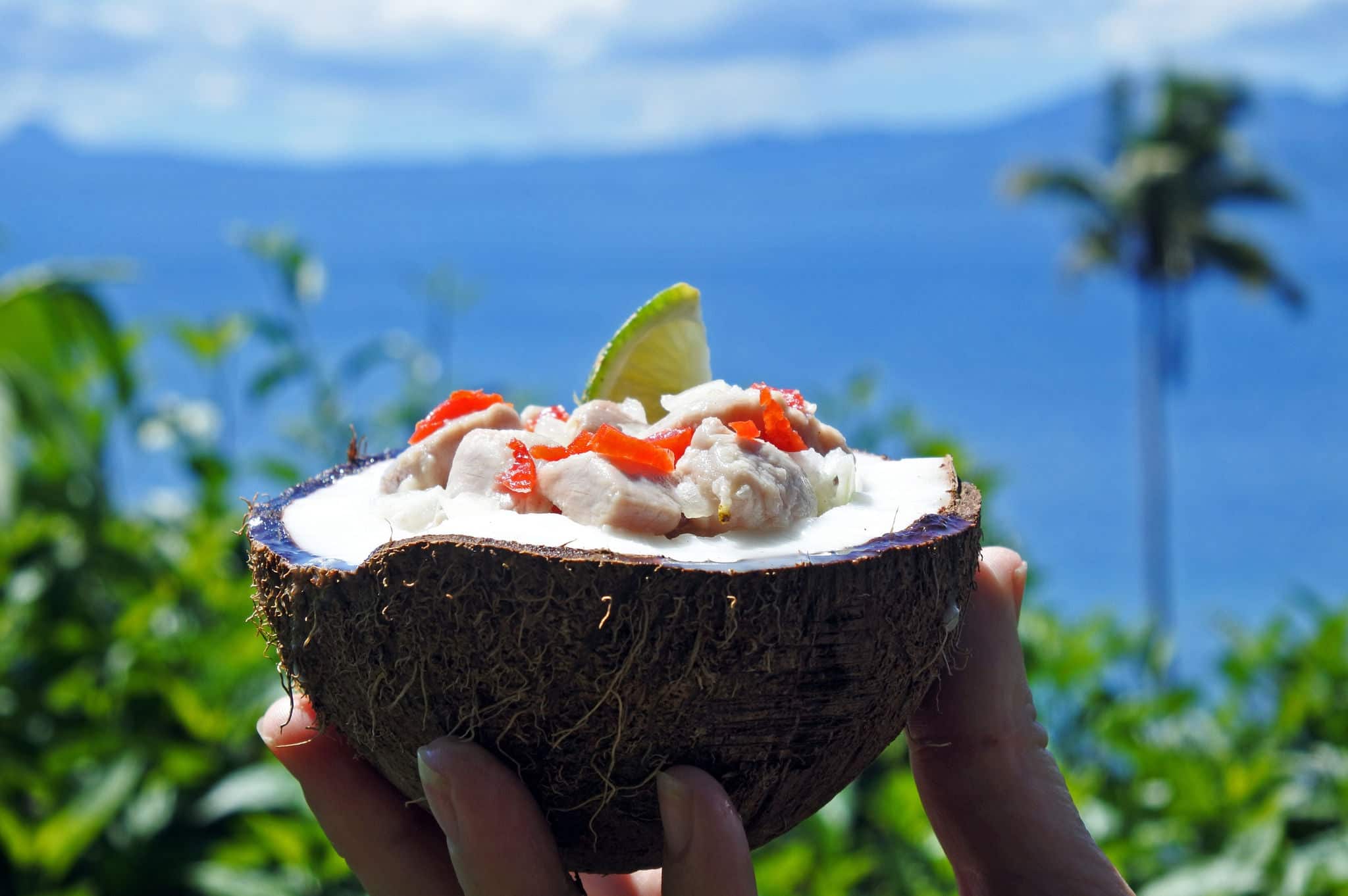 Fijian Food, Kokoda (Raw Fish Salad) against Tropical Island landscape. Kokoda is Fiji's version of Ceviche seafood dish, enriched with coconut milk to balance out all the acid. No people. Copy Space.
