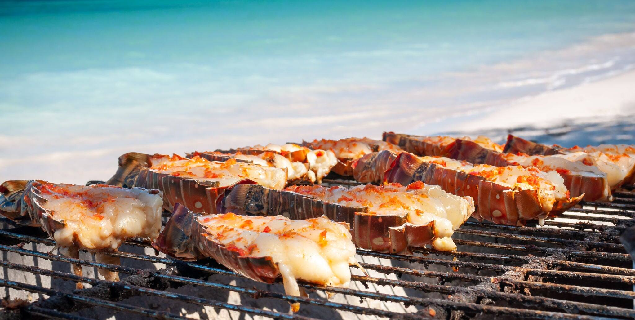 Close up of delicious fresh lobsters cut in half and cooking on a barbecue grill against a beach and turquoise sea background.