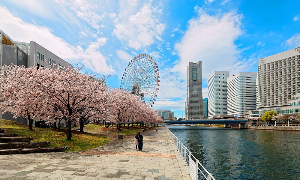 Norwegian Cruises from Seattle to Tokyo