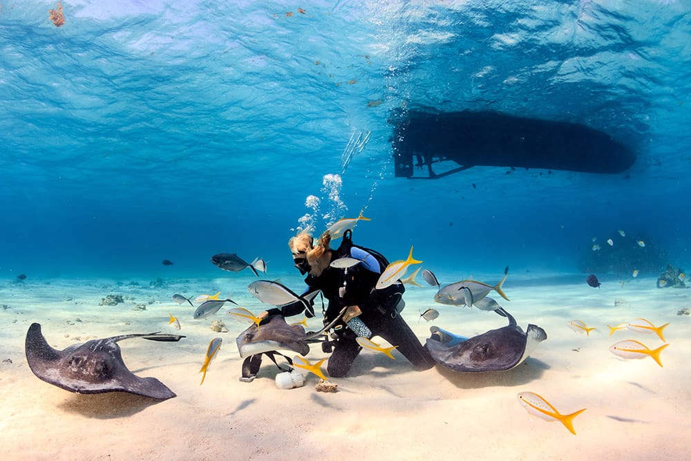 Best Places to Dive in The Caribbean