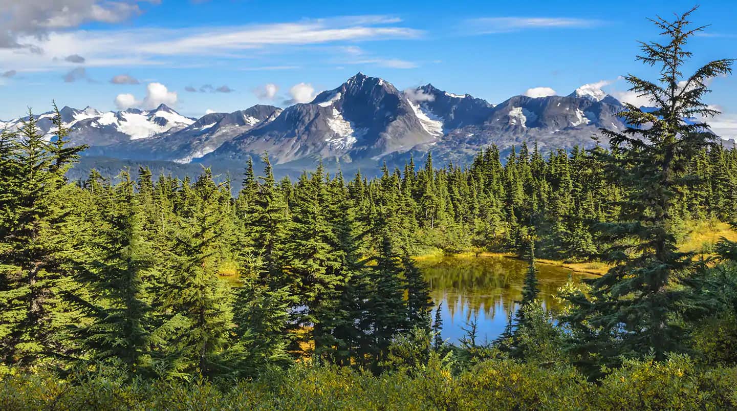 11-Day Fairbanks Denali Express - Northbound Cruisetour