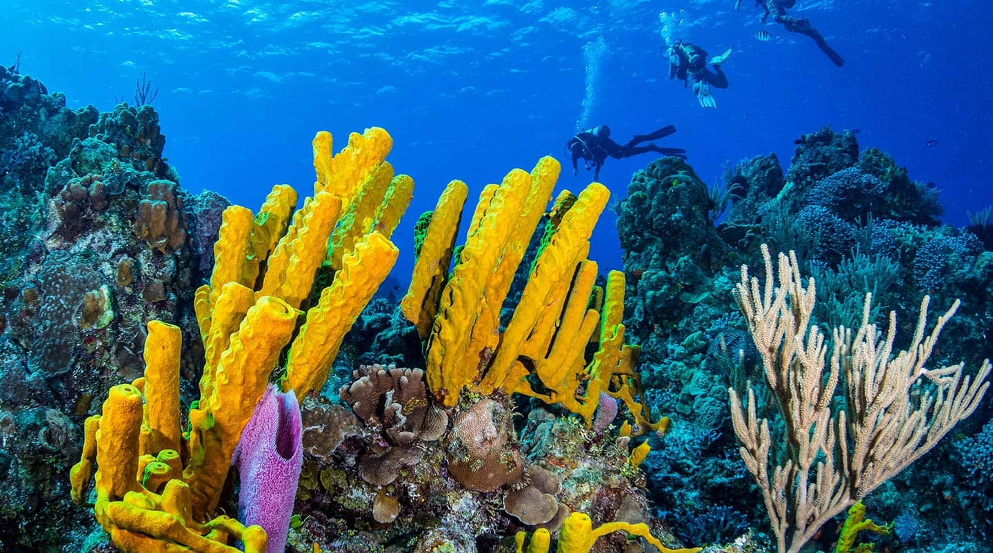 Cozumel, Mexico