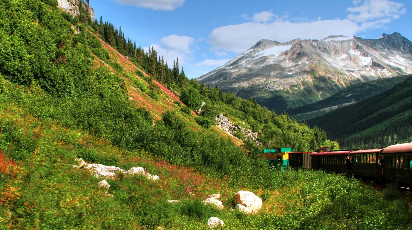 12-Day Denali by Rail Explorer - Northbound Cruisetour