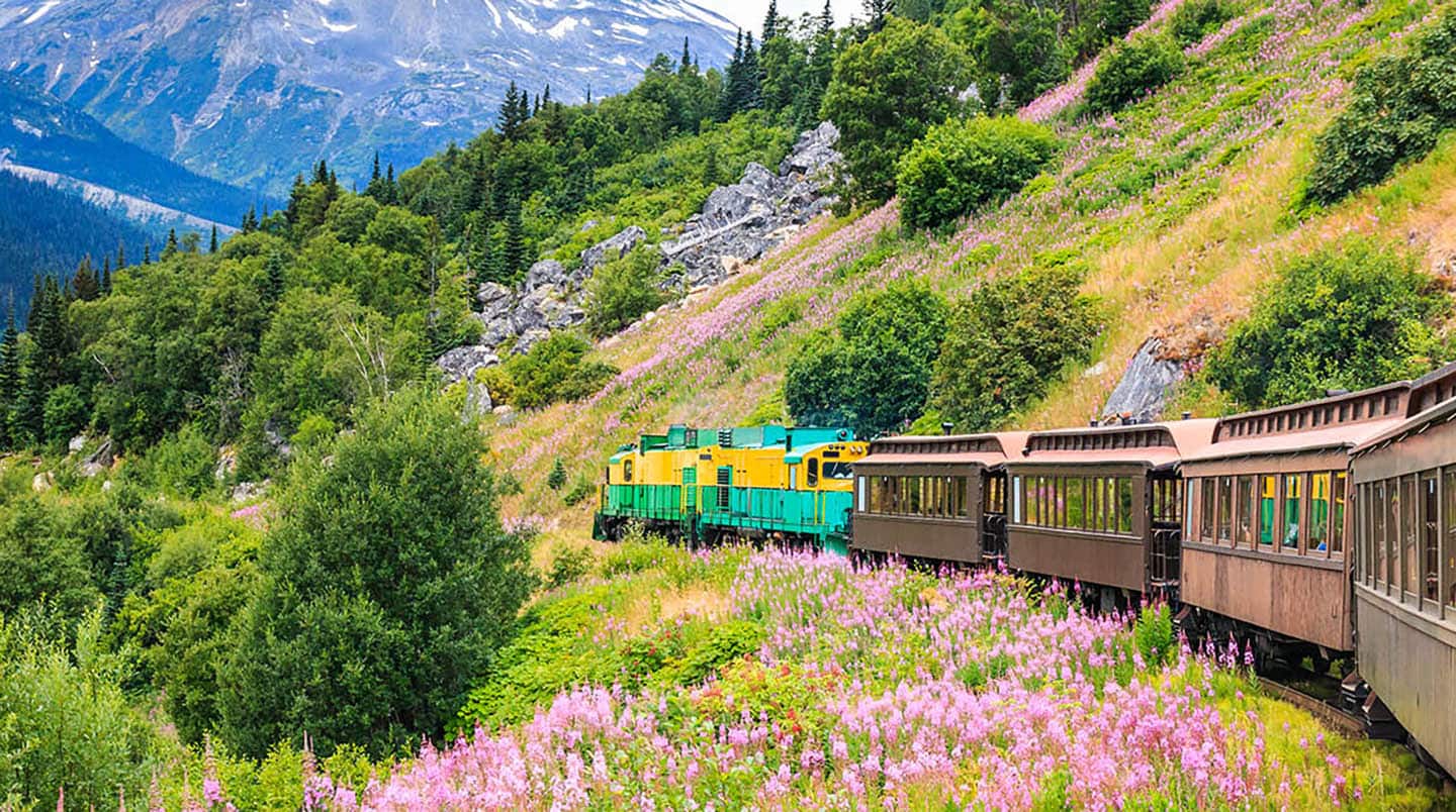 7-Day Alaska From Vancouver To Whittier: Glaciers, Skagway, Juneau & Ketchikan