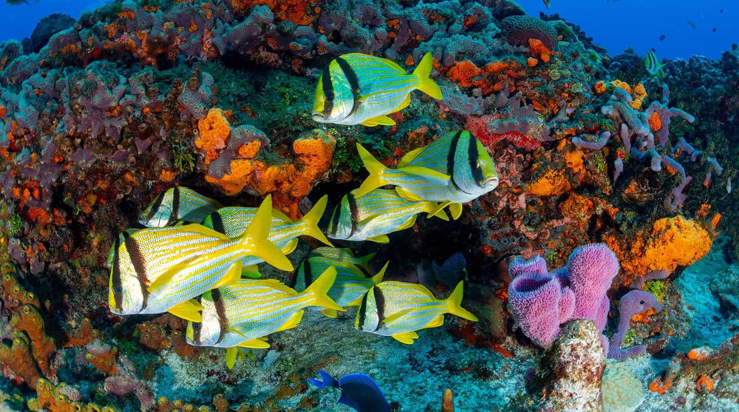 Cozumel, Mexico