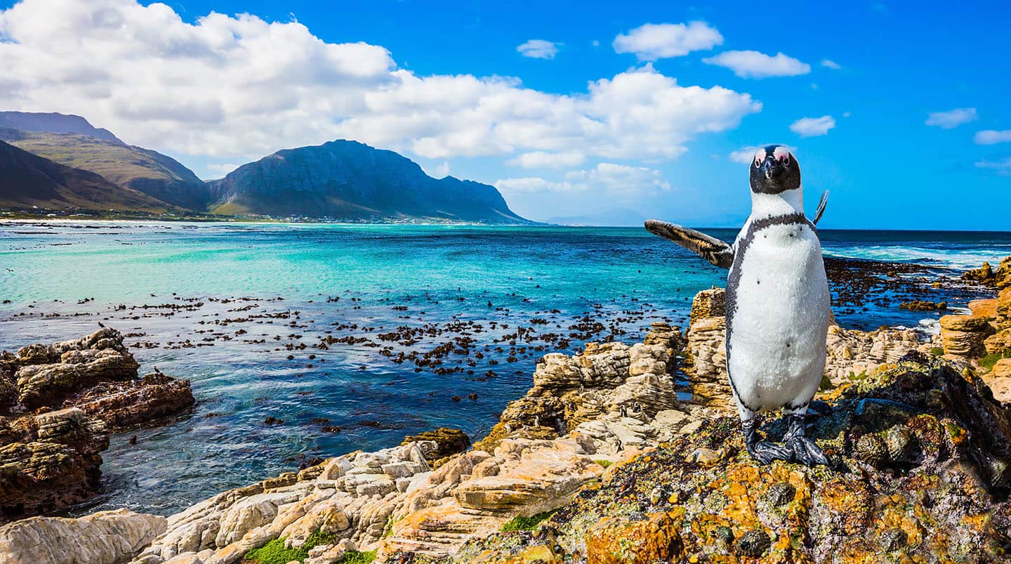 Cape Town, Africa