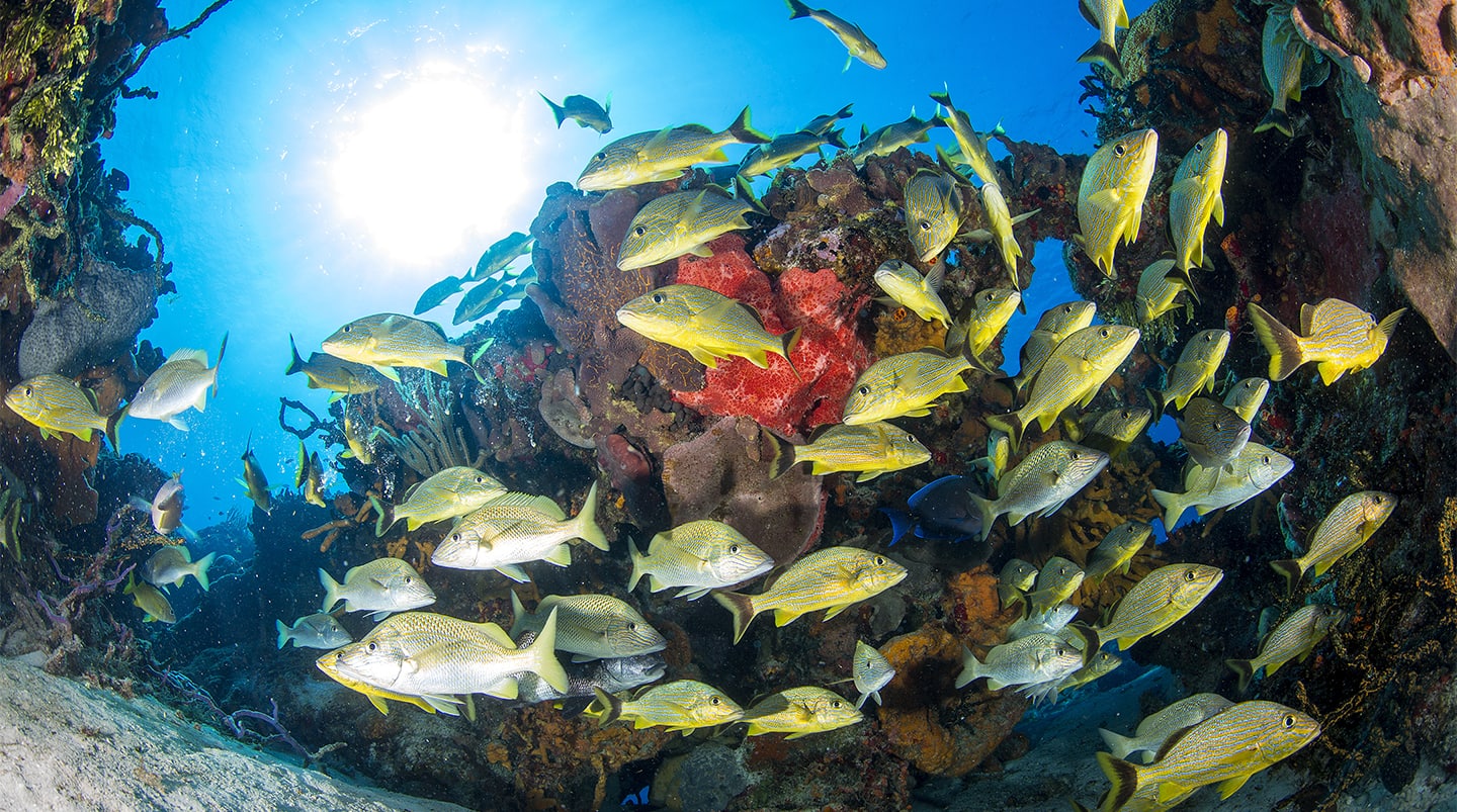 Cozumel, Mexico