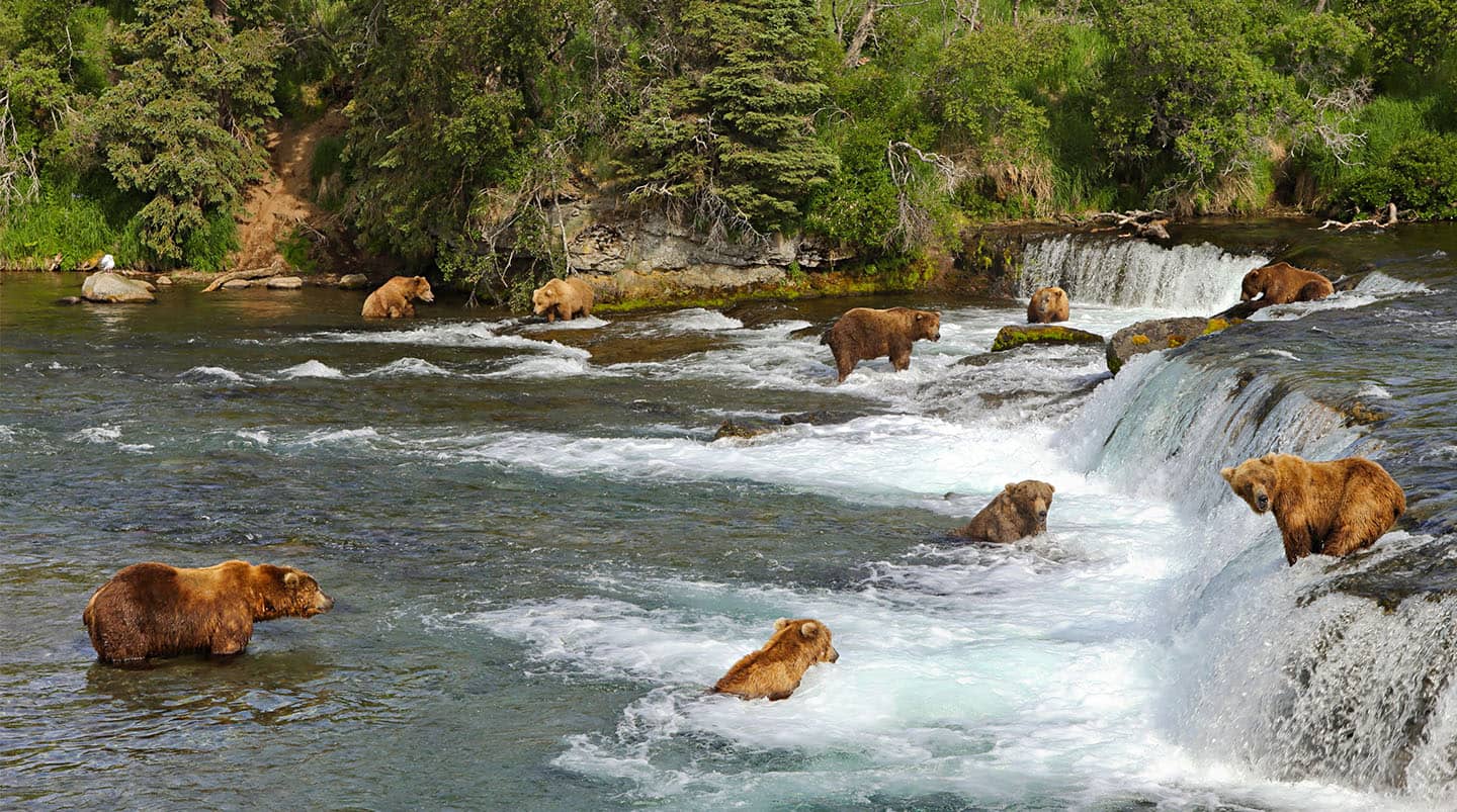 Denali National Park, Alaska