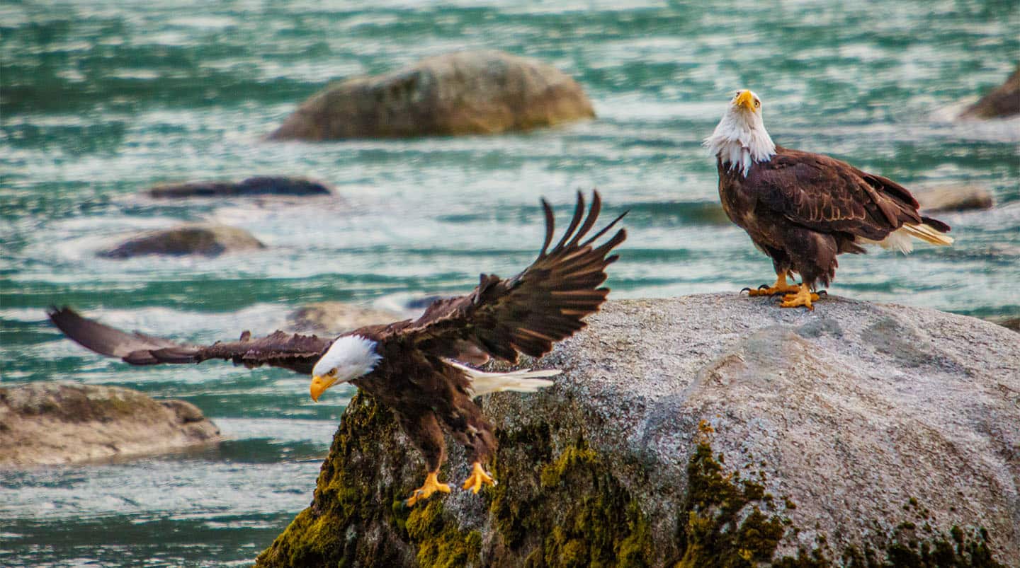 Denali National Park, Alaska