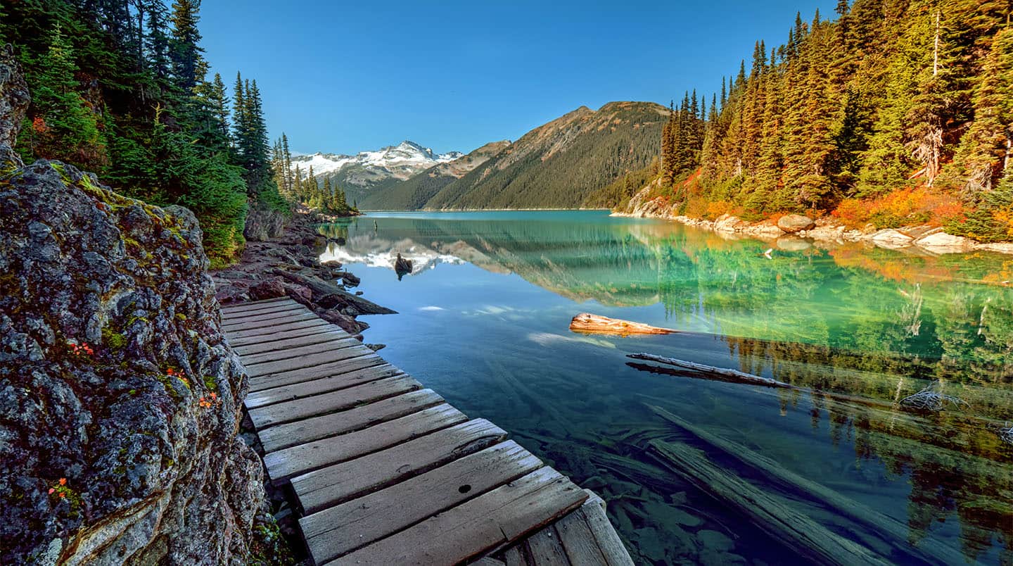 Denali National Park, Alaska